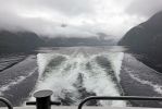 DSC03820 Doubtful Sound Heckwelle_k