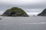 DSC03850 Doubtful Sound Nee Islets Höhle_k