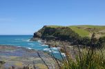 DSC04026 Curio Bay_k
