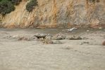 DSC04501_Moeraki_Boulders_Bruchstuecke_k.jpg