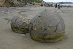 DSC04513 Moeraki Boulders_k