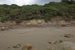 DSC04517 Moeraki Boulders in Entstehung_k