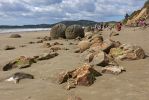 DSC04519 Moeraki Boulders_k