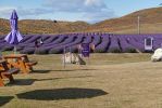 DSC04624 NZ Alpine Lavender_k