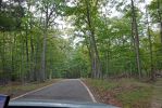 DSC07240 Tunnel of Trees_k