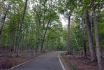 DSC07242 Tunnel of Trees_k