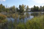 DSC07336 Tawas Point State Park_k