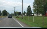 DSC07810 Middlebury Amish mit Motormäher_k