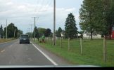 DSC07810 Middlebury Amish mit MotormÃ¤her_k