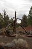 IMG_0090_Sunset_Crater_Volcano_NM_Baumstrunk_forum.jpg