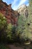 IMG_0143_Sedona_Oak_Creek_Canyon_West_Fork_forum.jpg
