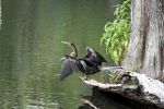 IMG_0160_DXO.jpg