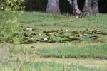 IMG_0190_DXO.jpg