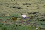 IMG_0193_DXO.jpg