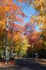 Canyon Ste Anne Herbstlaub