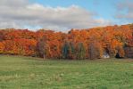 Rte 348 Herbstlaub