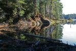 Beaver Pond Trail Damm