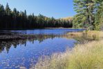 Beaver Pond Trail