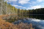 Algonquin Park Bat Lake Trail