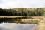 Algonquin Park Bat Lake Trail