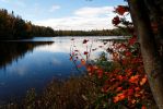 Algonquin Peck Lake