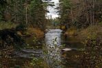 IMG_0428_DxO_raw_Algonquin_Park_Whiskey_Rapids_Trail_Forum.jpg