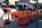 St Jakobs Farmers Market