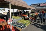 St Jakobs Farmers Market