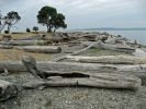 Blake Island