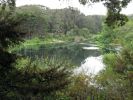 Golden Gate Park