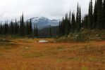 05 Mt Revelstoke