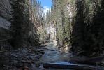 IMG_1897_Johnston_Canyon_forum.jpg