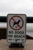 No Dogs