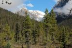 07 Emerald Lake