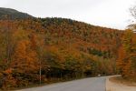 White Mountain Road Herbstlaub