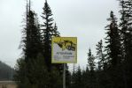 IMG_2063_Banff_Warnschild_Schneepflug_forum.jpg