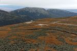 Mt Washington Tundra