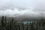 04 Bow Lake