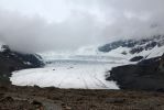 13 Columbia Icefield