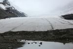 15 Columbia Icefield