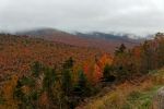 Kancamagus Hwy Herbstwald