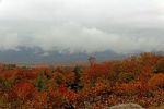 Bear Notch Road