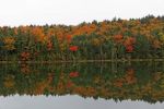 Kancamagus Hwy Falls Pond