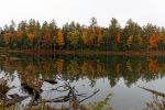 Kancamagus Hwy Falls Pond