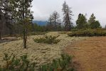 09 Jackman Flats PP