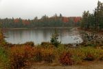 Kancamagus Hwy Lily Pond