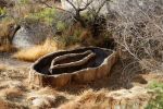 IMG_2323_DxO_raw_Joshua_Tree_NP_Brunnen_beim_Barker_Dam_Forum.jpg