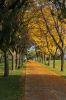 Burlington Battery Park