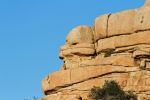 IMG_2328_DxO_raw_Joshua_Tree_NP_Barker_Dam_Trail_Kopffelsen_Forum.jpg