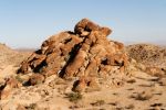 IMG_2349_DxO_raw_Joshua_Tree_NP_49_Palms_Trail_Forum.jpg